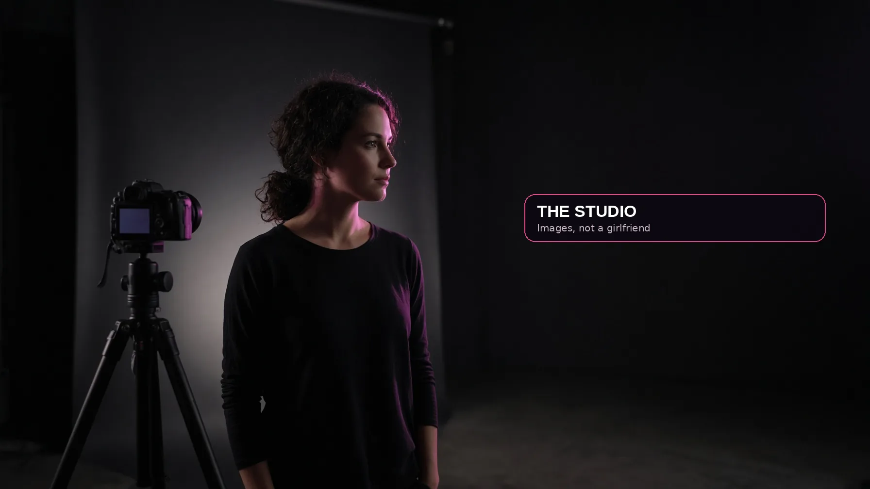 Pornworks is the studio. The job is images, GIFs, and video, not a girlfriend who texts back.